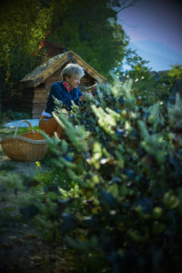 LE CLOS DES SENS JARDIN EN PERMACULTURE MARTINE