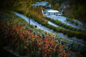 LE CLOS DES SENS JARDIN EN PERMACULTURE LAURENT PETIT